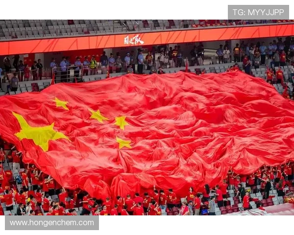 丝路锦标赛（丝路杯国际电竞）世界杯体育论坛